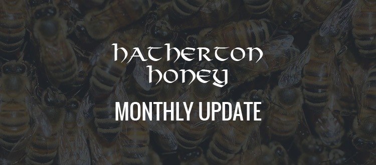 blog update