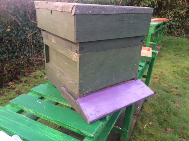national hive complete